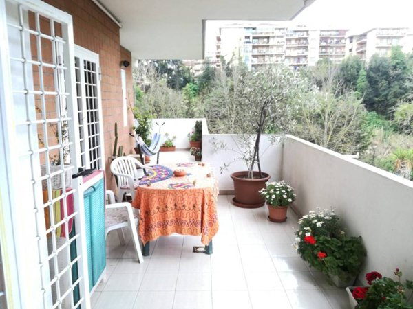 appartamento in affitto a Roma in zona Trionfale