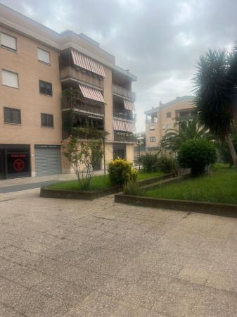 appartamento in affitto a Roma in zona Tor Vergata/Torrenova