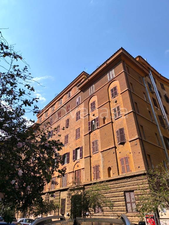 appartamento in affitto a Roma in zona Nomentano