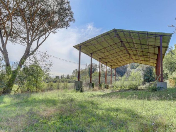 locale commerciale in affitto a Roma in zona Aurelio