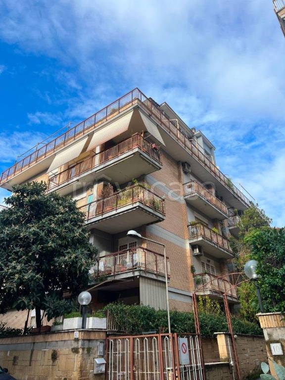 appartamento in affitto a Roma in zona Ostiense