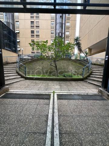 appartamento in affitto a Roma in zona Salario