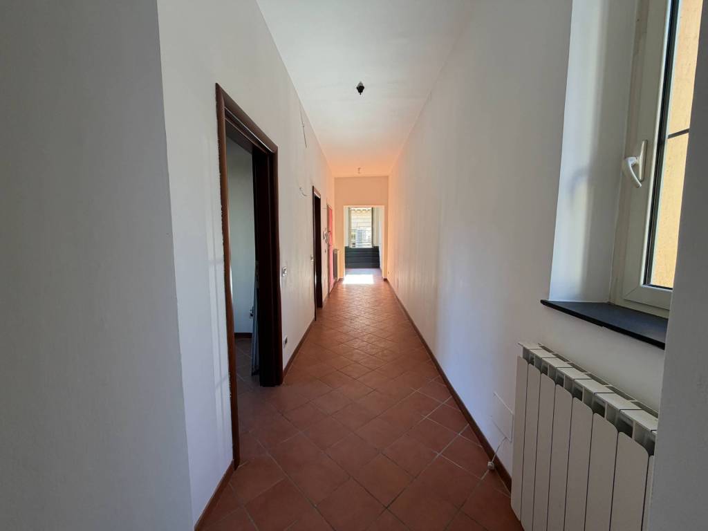 appartamento in affitto a Roma in zona Campo Marzio