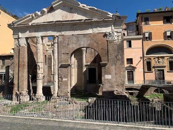 appartamento in affitto a Roma in zona Campo Marzio