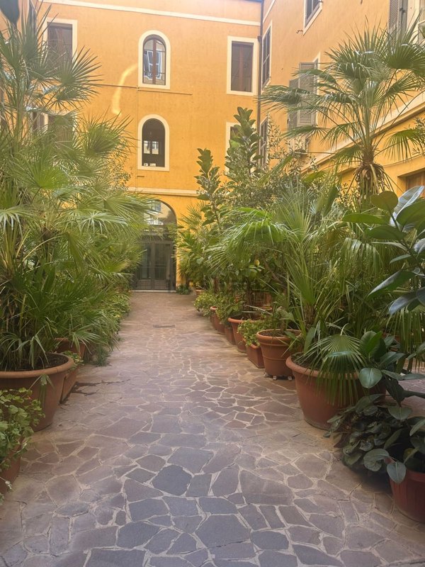 appartamento in affitto a Roma in zona Salario