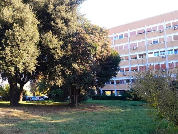 appartamento in affitto a Roma in zona Parioli