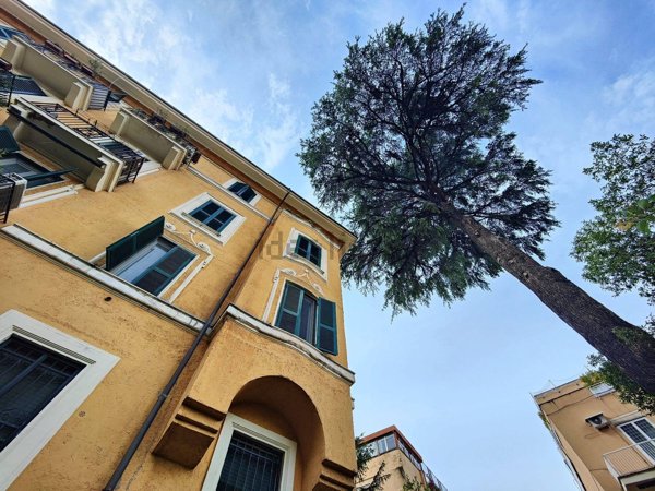 appartamento in affitto a Roma in zona Trieste