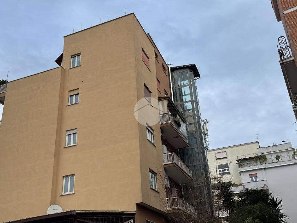 appartamento in affitto a Roma in zona Trionfale