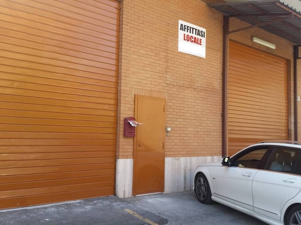 locale commerciale in affitto a Roma in zona Tor Vergata/Torrenova