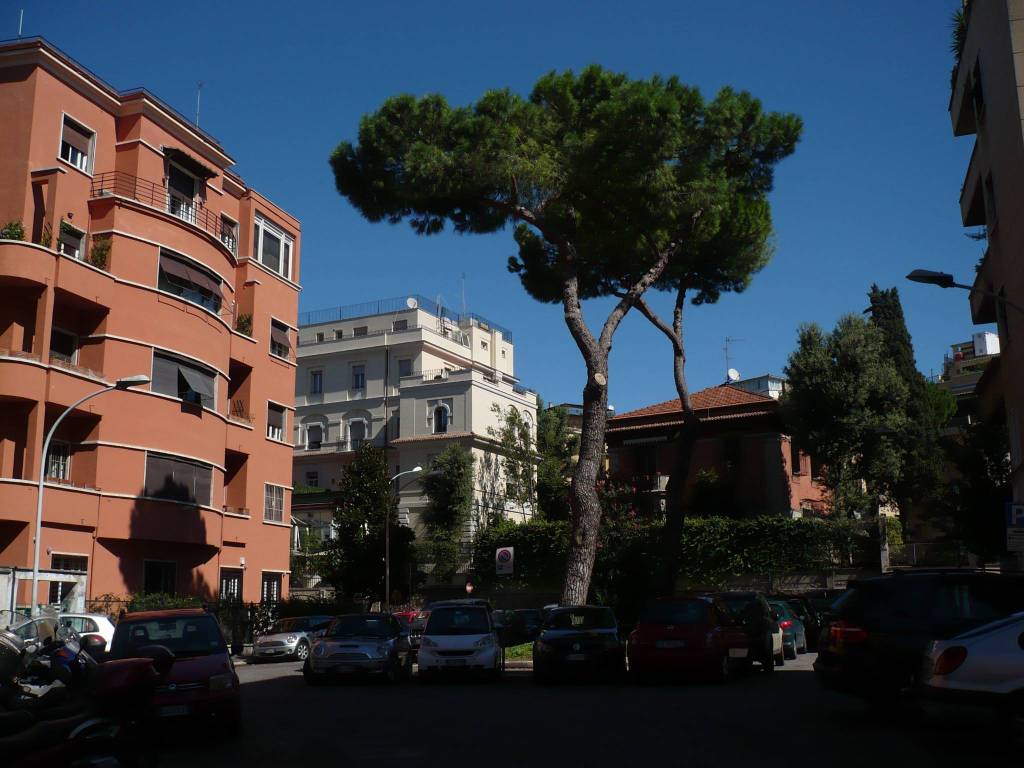 appartamento in affitto a Roma in zona Pinciano