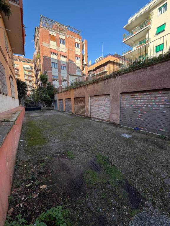 appartamento in affitto a Roma in zona Monte Sacro/Talenti