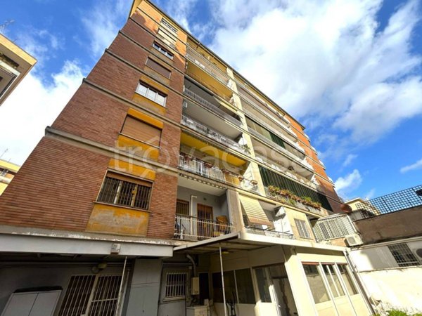 appartamento in affitto a Roma in zona Appio Claudio