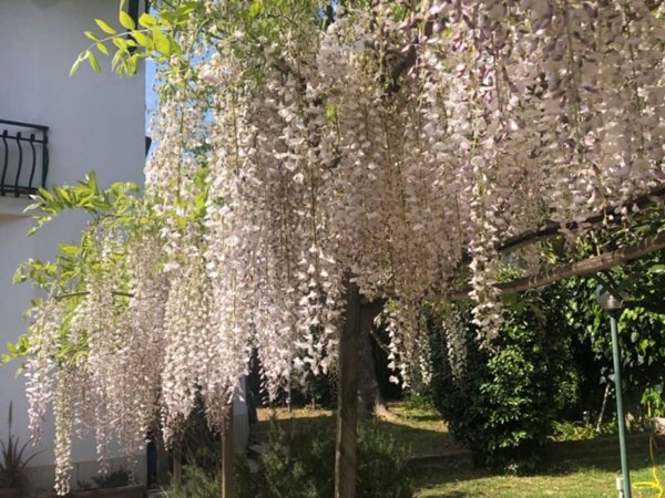 casa indipendente in affitto a Roma in zona Tor di Quinto