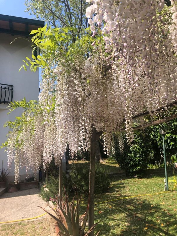 casa indipendente in affitto a Roma in zona Tor di Quinto