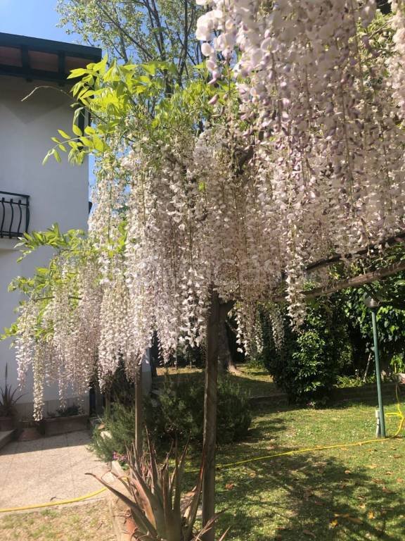 casa indipendente in affitto a Roma in zona Tor di Quinto