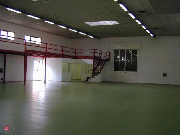 locale commerciale in affitto a Roma