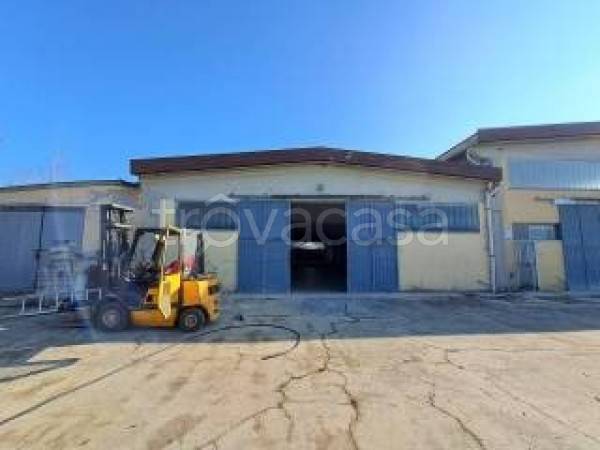 appartamento in affitto a Roma in zona Casal Morena