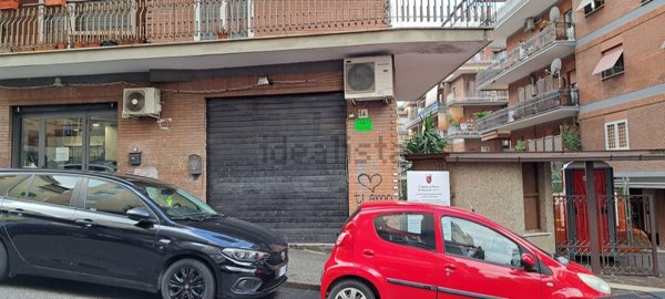 negozio in affitto a Roma in zona Monte Sacro/Talenti