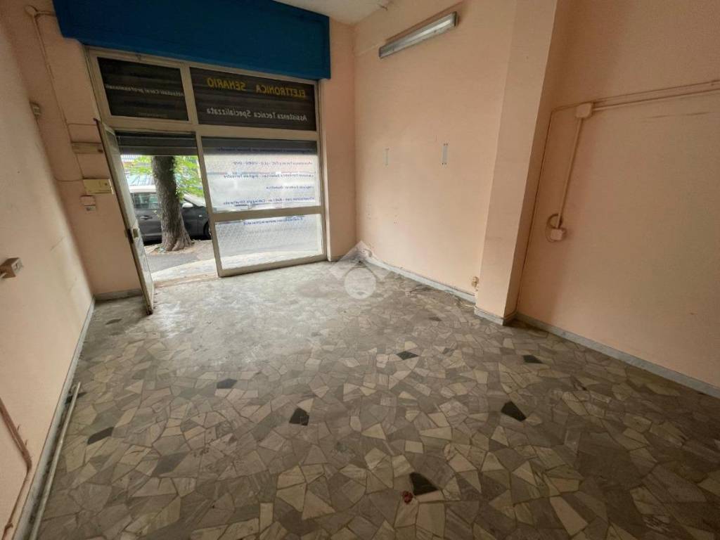 negozio in affitto a Roma in zona Monte Sacro/Talenti