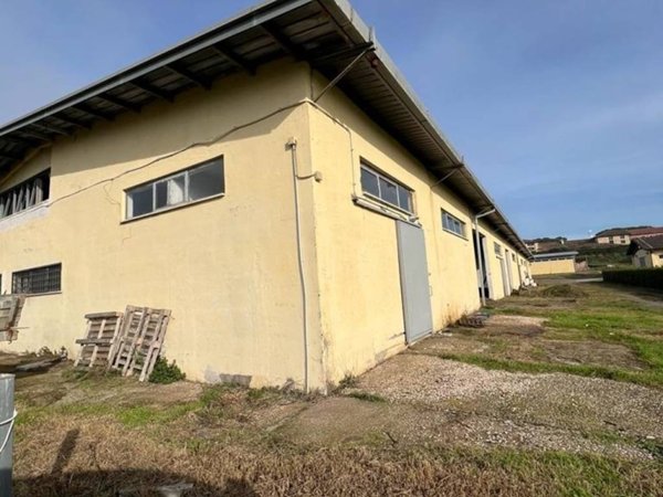 locale di sgombero in affitto a Roma in zona Grottarossa