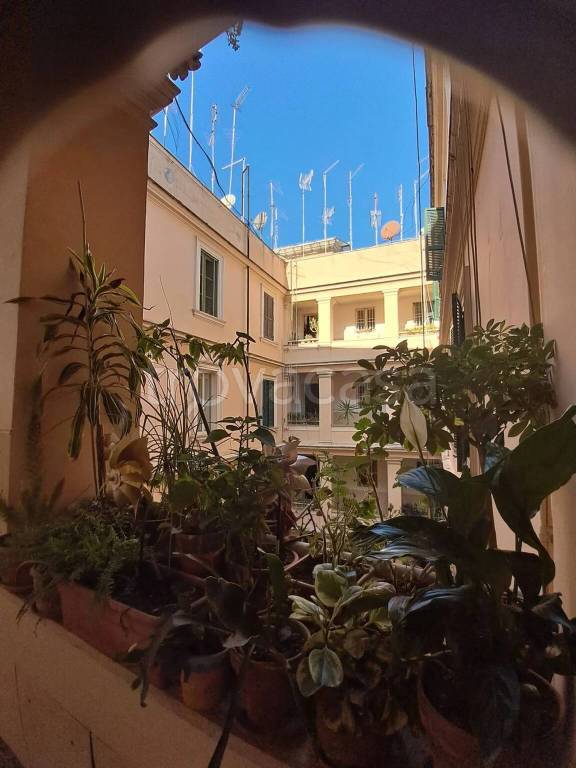appartamento in affitto a Roma in zona Trastevere