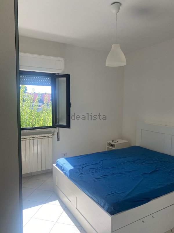 appartamento in affitto a Roma in zona Trionfale