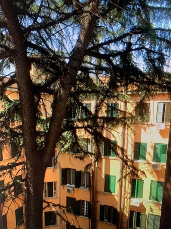 appartamento in affitto a Roma in zona Tiburtino
