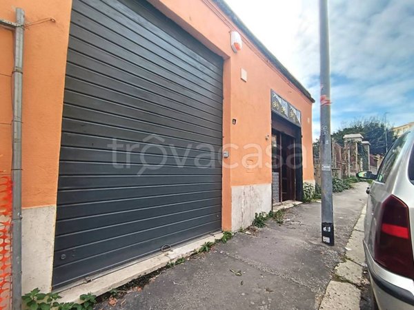 negozio in affitto a Roma in zona Ostia