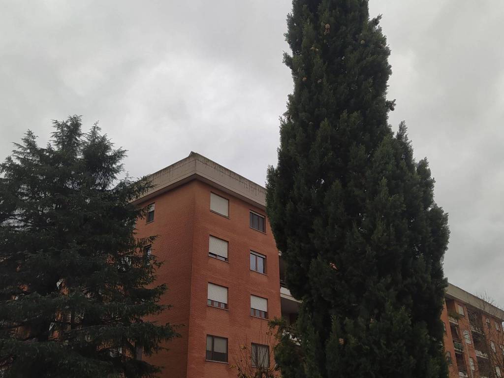 appartamento in affitto a Roma in zona Giuliano Dalmata