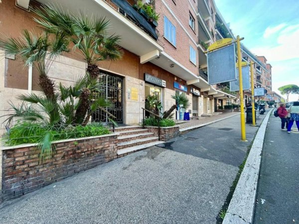 appartamento in affitto a Roma in zona Monte Sacro/Talenti