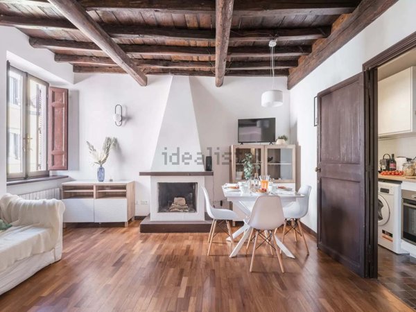 appartamento in affitto a Roma in zona Trastevere