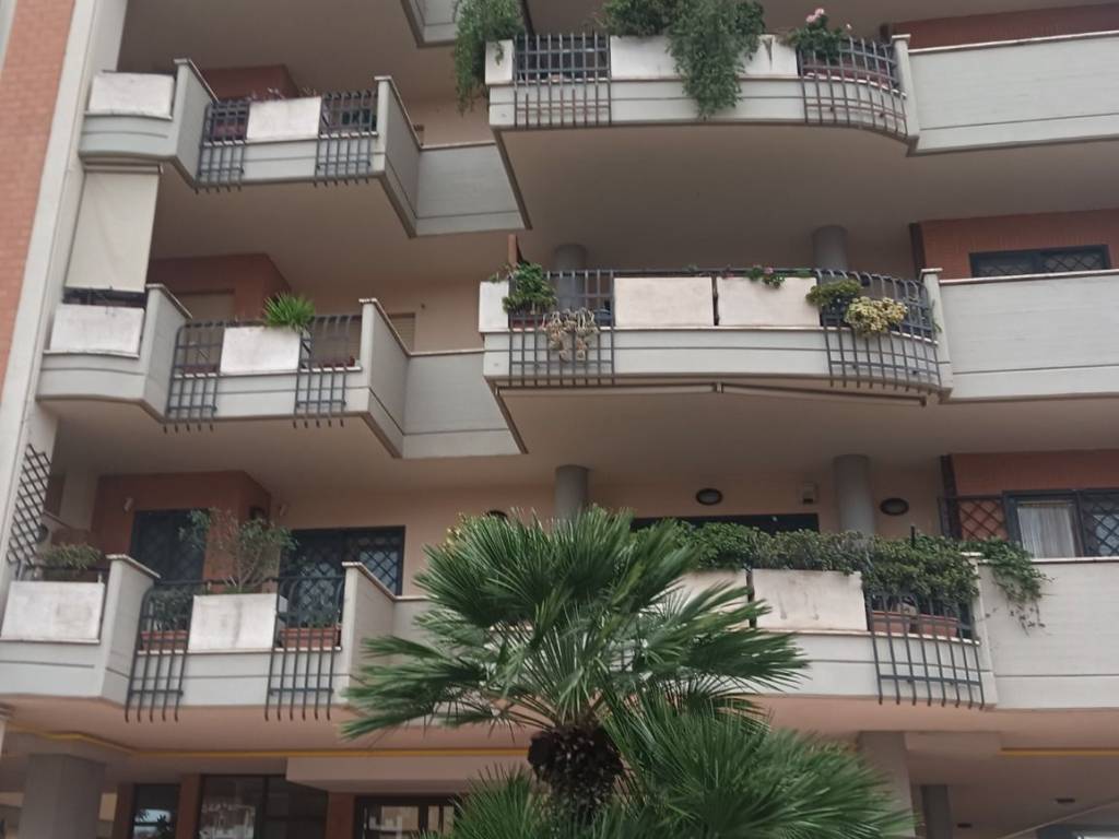 appartamento in affitto a Roma in zona Aurelio