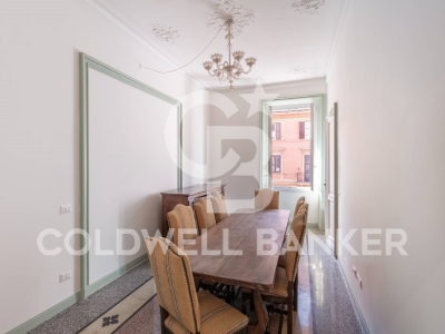 appartamento in affitto a Roma in zona Flaminio