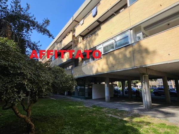 appartamento in affitto a Roma in zona Flaminio