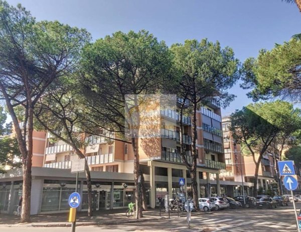 appartamento in affitto a Roma in zona Ardeatino