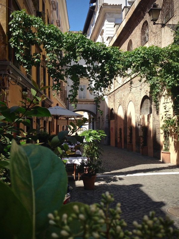 appartamento in affitto a Roma in zona Trastevere