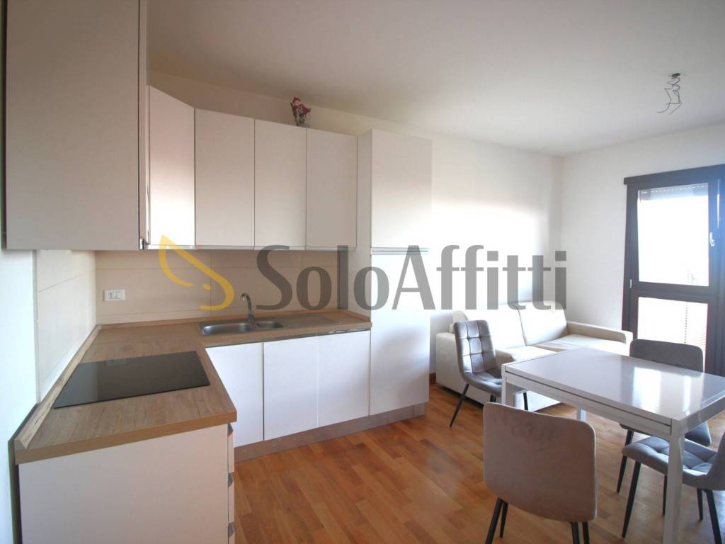 appartamento in affitto a Roma in zona Romanina