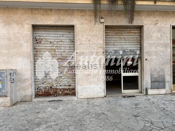 casa indipendente in affitto a Roma in zona Trieste