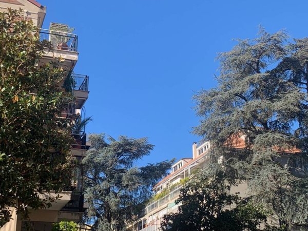 appartamento in affitto a Roma in zona Della Vittoria