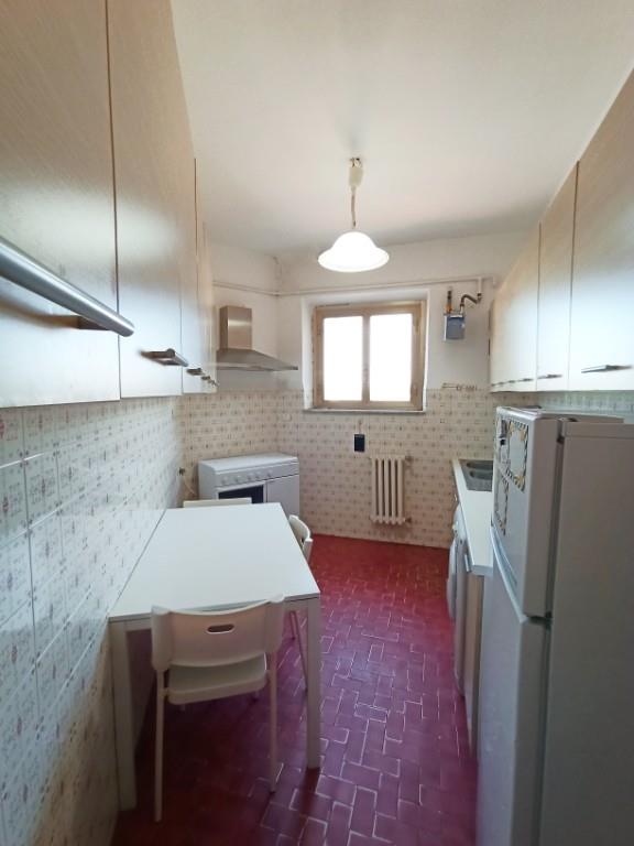 appartamento in affitto a Roma in zona Collatino