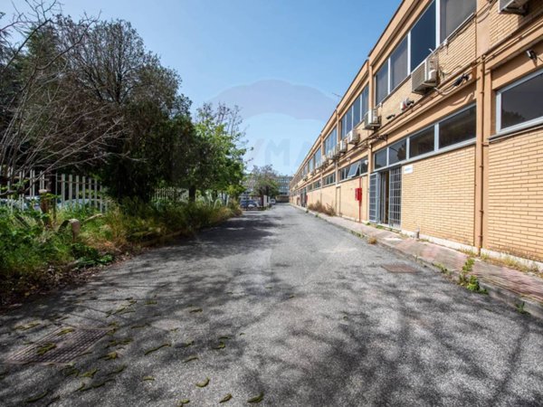 ufficio in affitto a Roma in zona Collatino