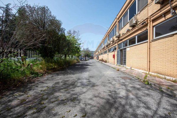 ufficio in affitto a Roma in zona Settecamini