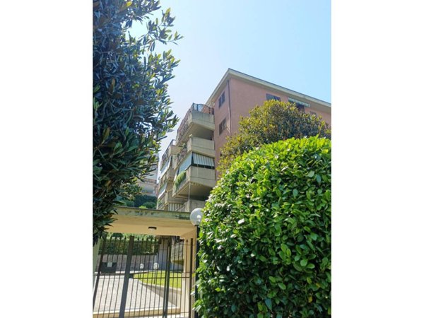 appartamento in affitto a Roma in zona Trionfale