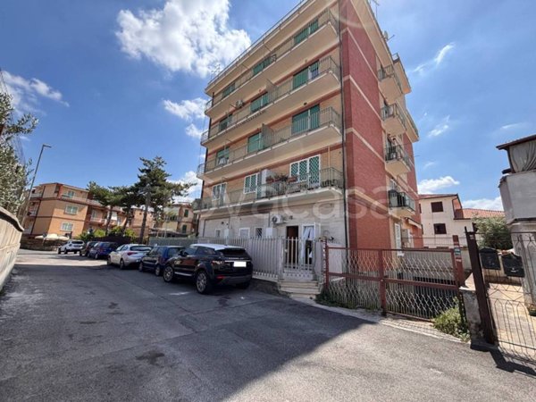 appartamento in affitto a Roma in zona Tor Vergata/Torrenova