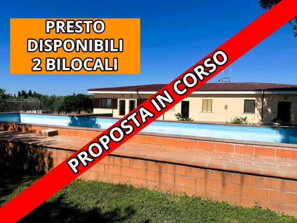 appartamento in affitto a Roma in zona Flaminio