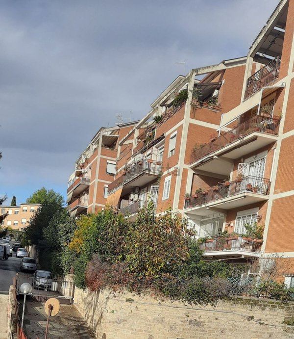 appartamento in affitto a Roma in zona Salario