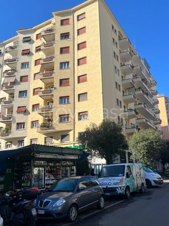 appartamento in affitto a Roma in zona Trieste