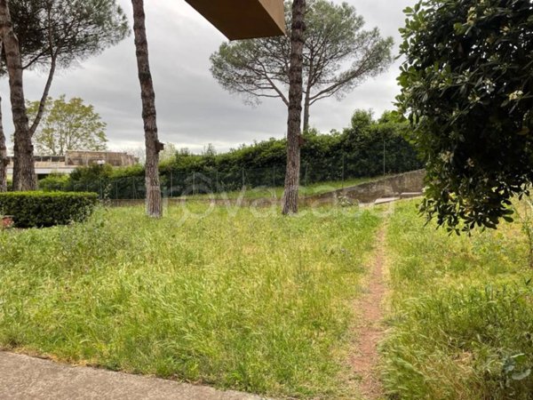 negozio in affitto a Roma in zona Giuliano Dalmata