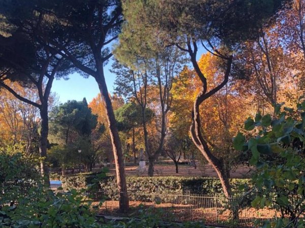 appartamento in affitto a Roma in zona Tiburtino