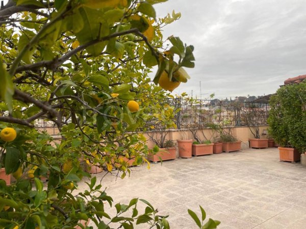 appartamento in affitto a Roma in zona Trastevere